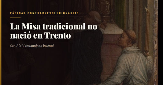 Retrato al óleo de san Pío V, de escuela italiana del siglo XVI: el Papa dominico, anciano y enjuto, con barba blanca corta, birrete y muceta roja sobre el hábito blanco de su orden, mira de frente con gesto severo